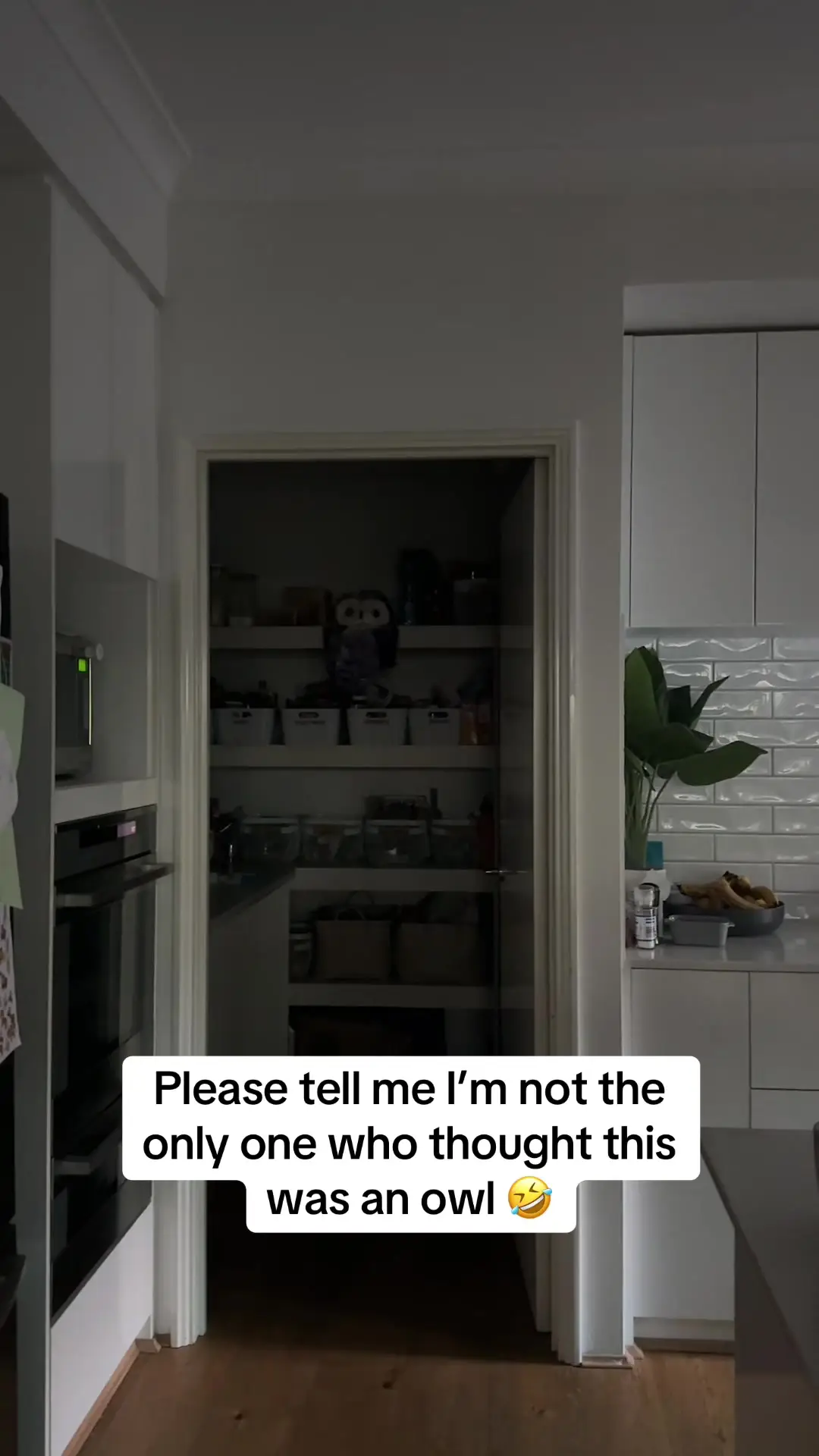 Tiktok post preview 3 from @kristybevi