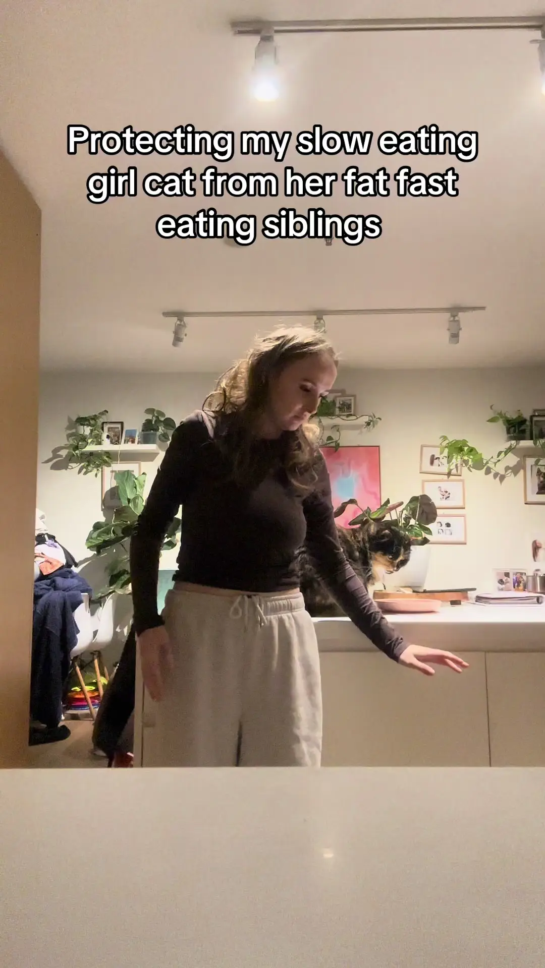 Tiktok post preview 1 from @crazycatladytay