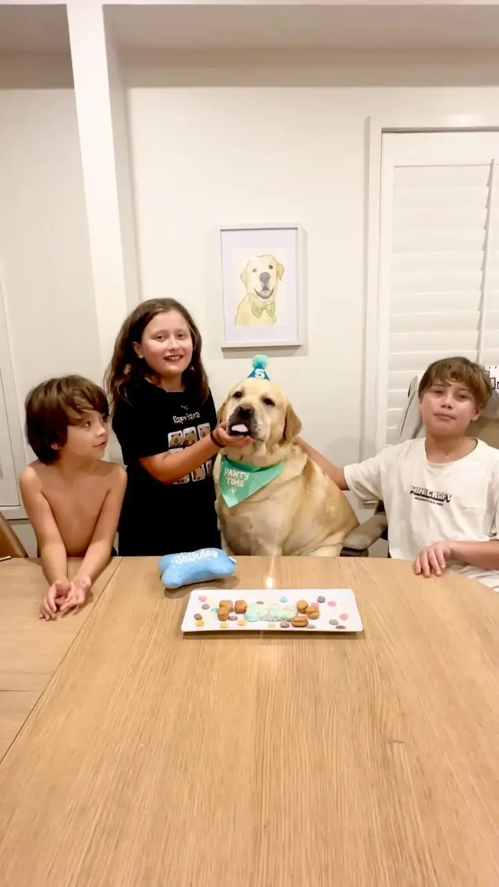 Instagram post preview 3 from romeo_the_fab_lab