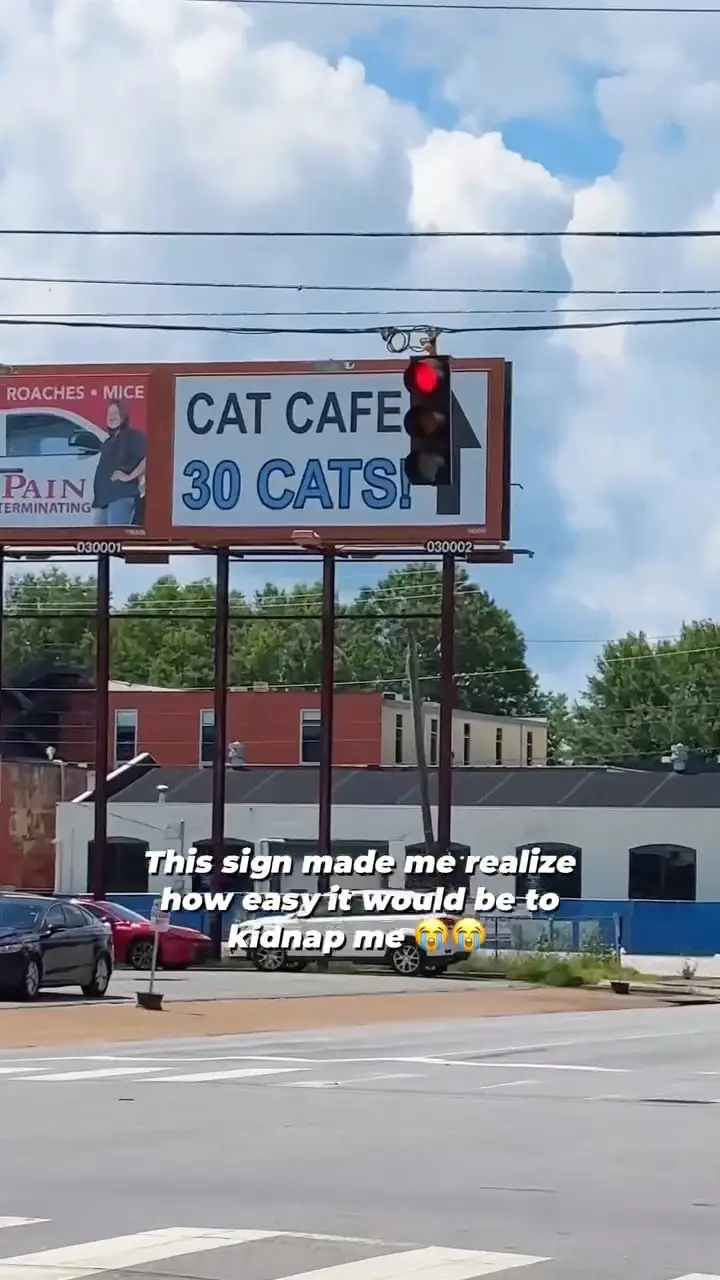 Instagram post preview 1 from travelingcatsitter