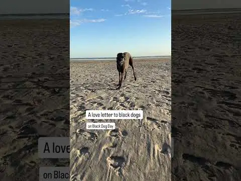 Youtube post preview 2 from UCQauoBg1x8nOQBOgO0QHaBQ