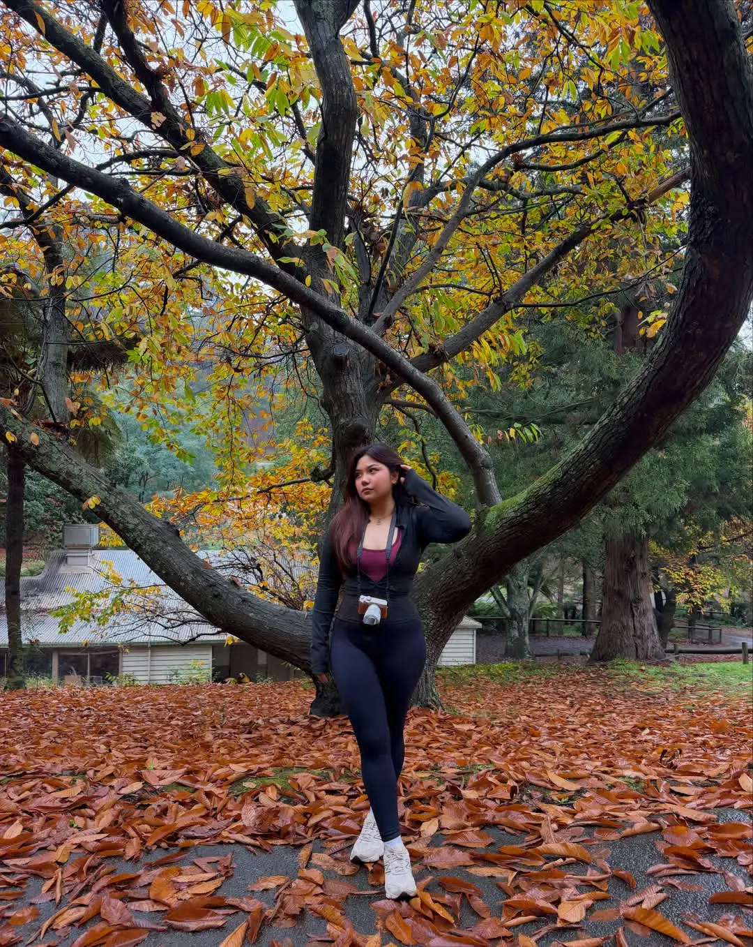 Instagram post thumbnail