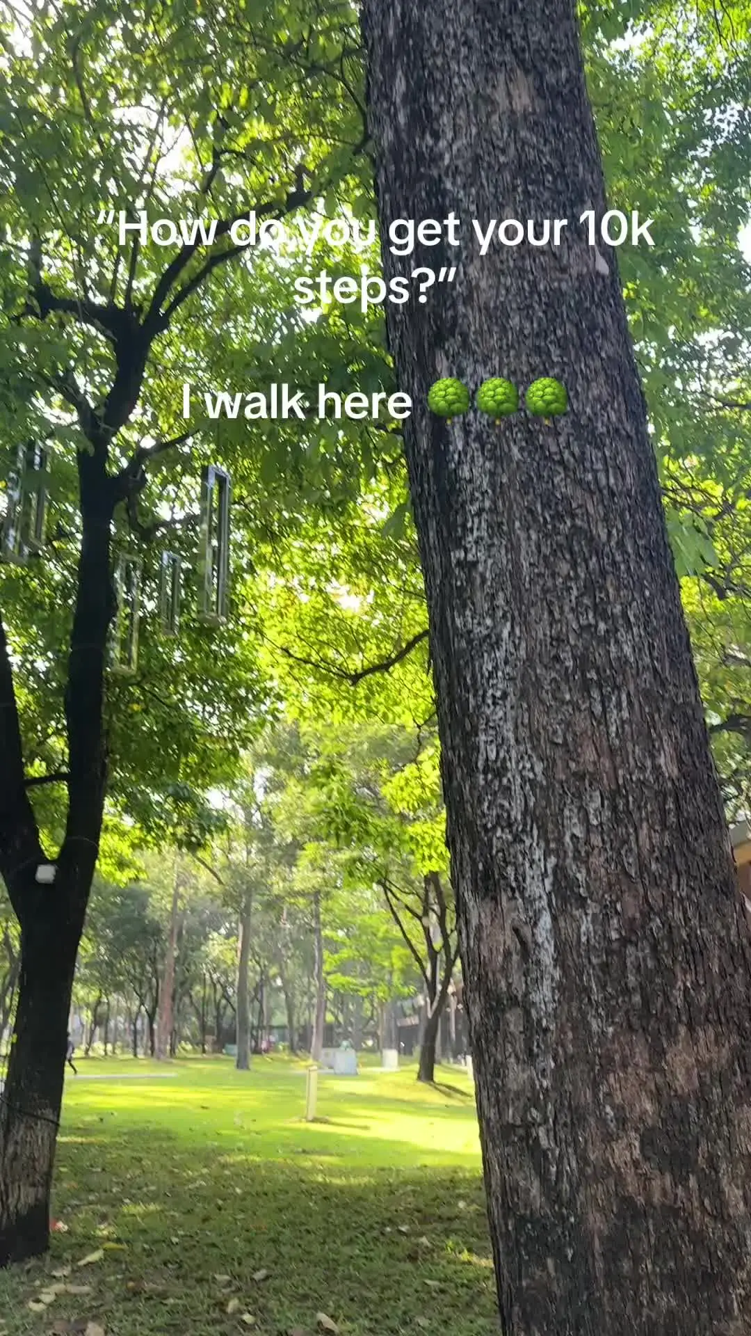 Tiktok post preview 3 from @angel.betweenthelines