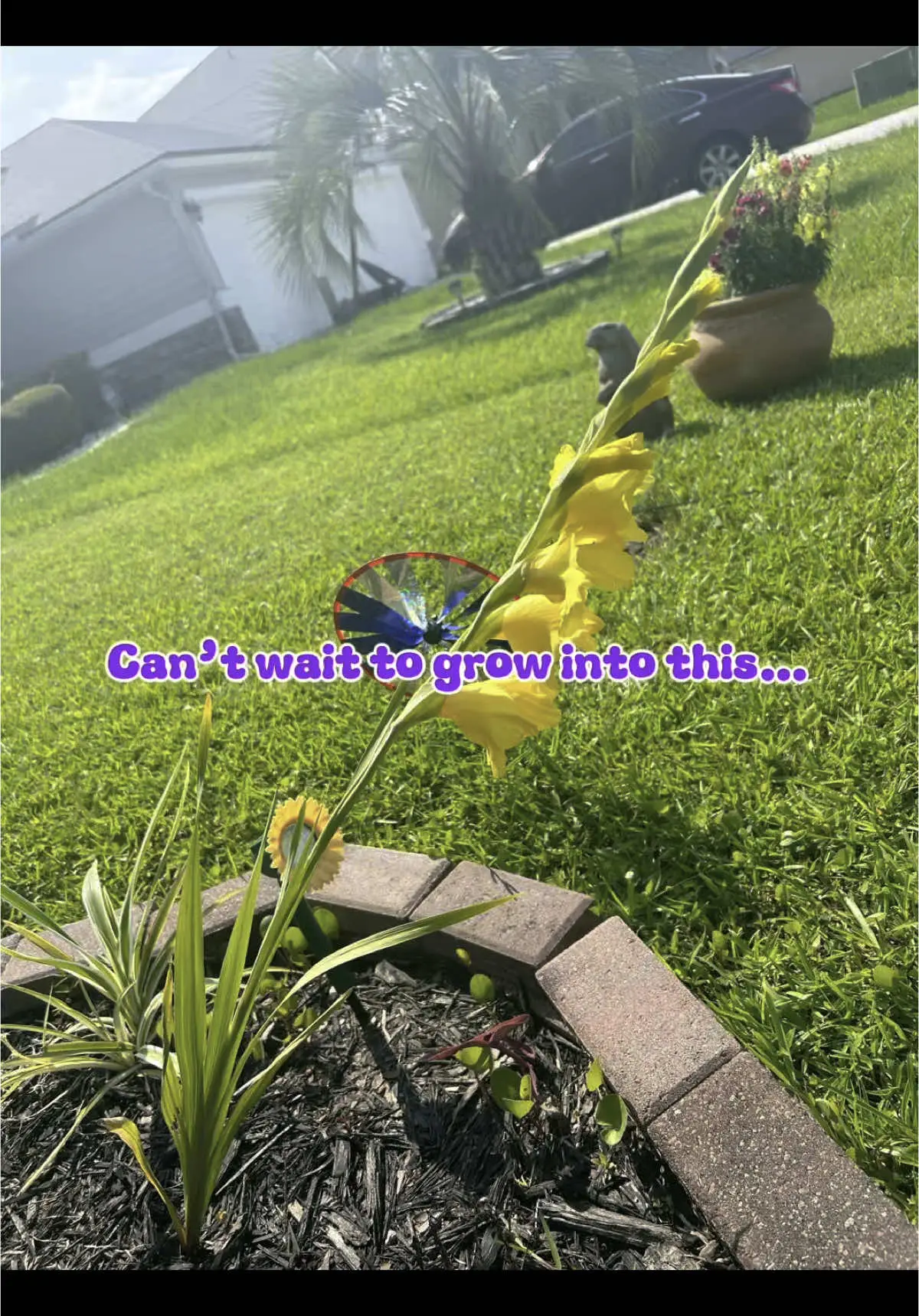Tiktok post preview 3 from @craftyalane