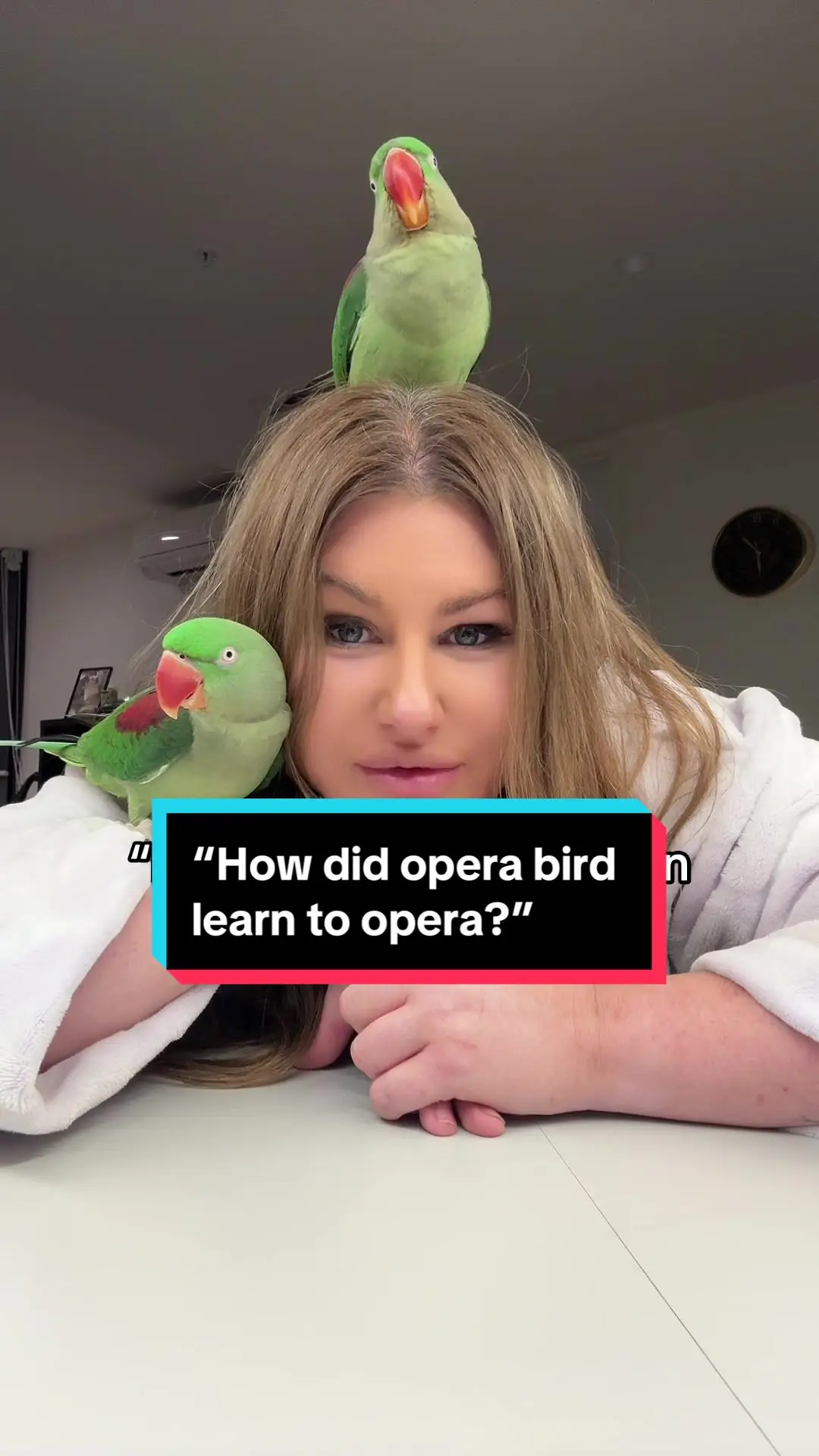 Tiktok post preview 3 from @rumi.the.ringneck