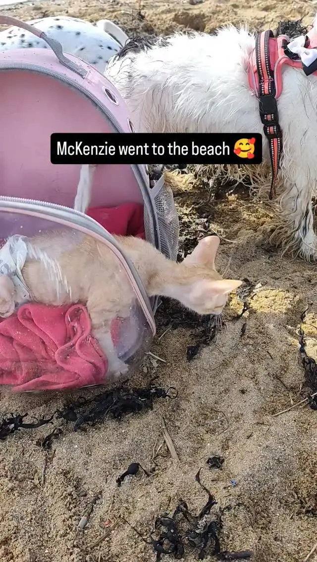 Instagram post thumbnail
