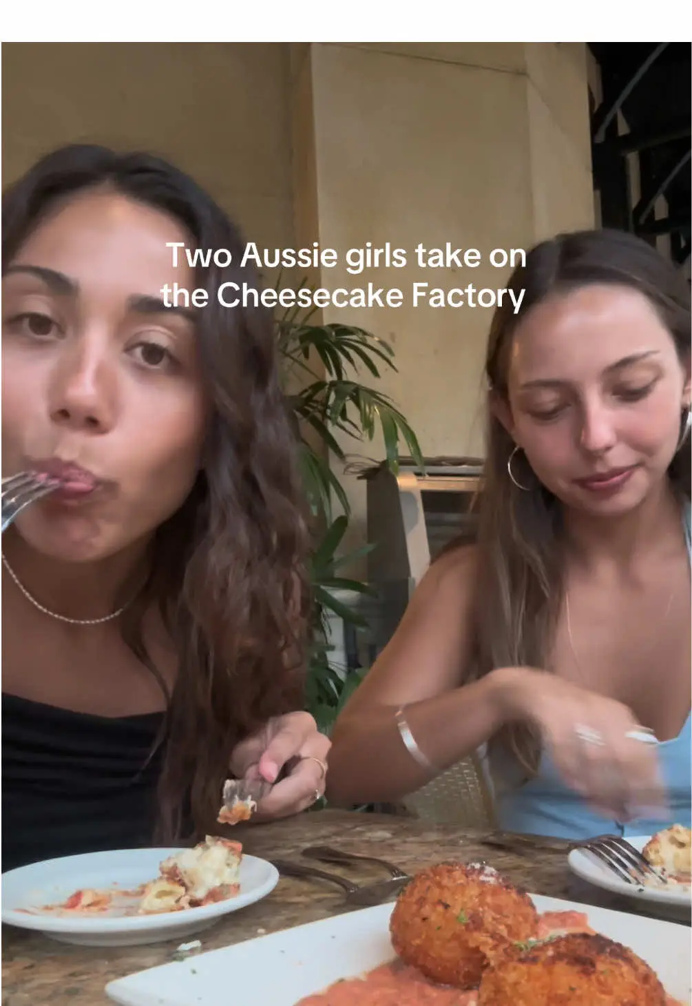 Tiktok post preview 2 from @shelfoley