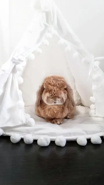 Instagram post thumbnail
