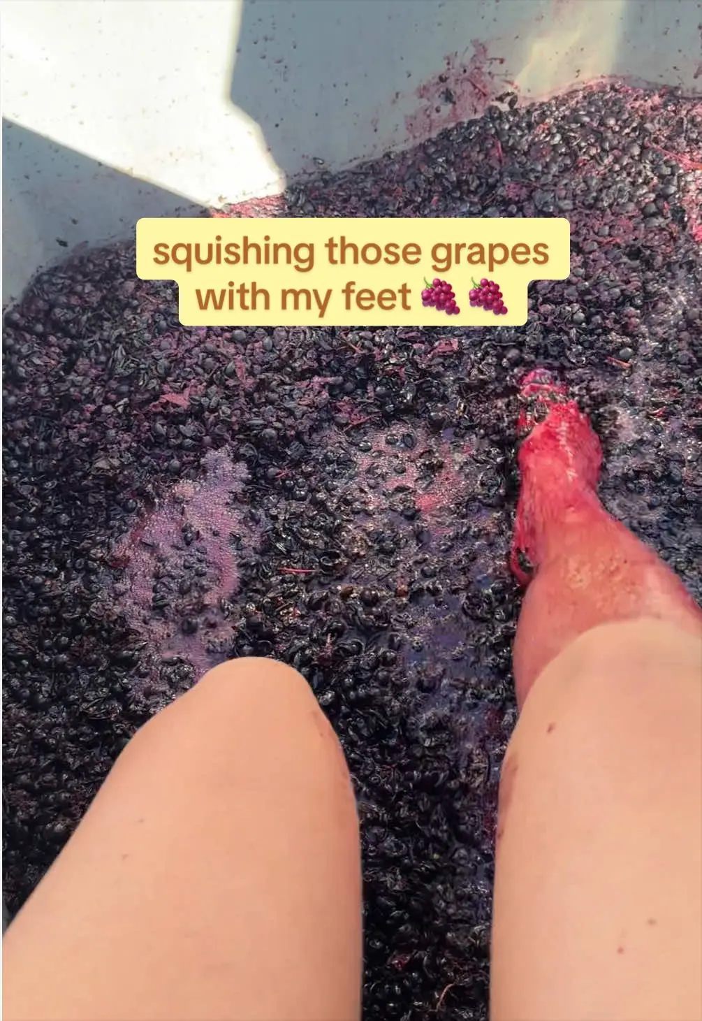 Tiktok post preview 1 from @zoe_wanderingwaves