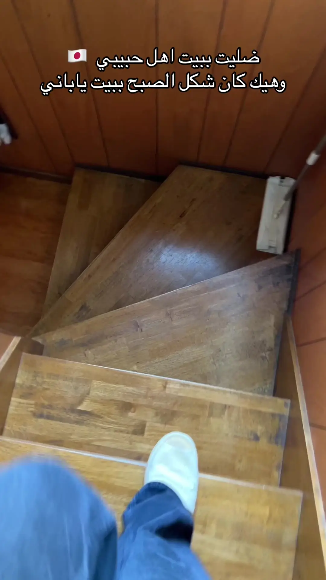Tiktok post preview 3 from @noor_falugo