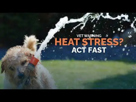 Youtube post thumbnail