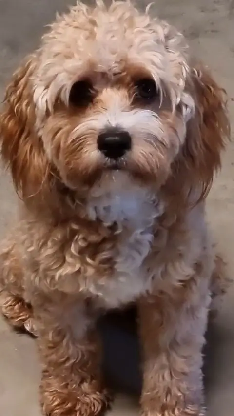 Instagram post thumbnail