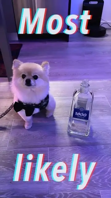 Instagram post thumbnail