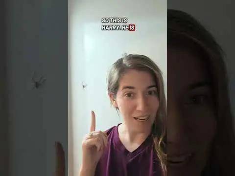 Youtube post thumbnail