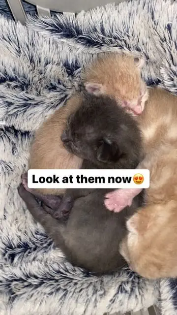 Instagram post thumbnail