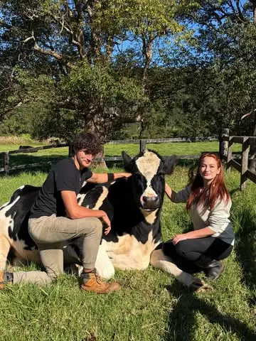 Instagram post thumbnail