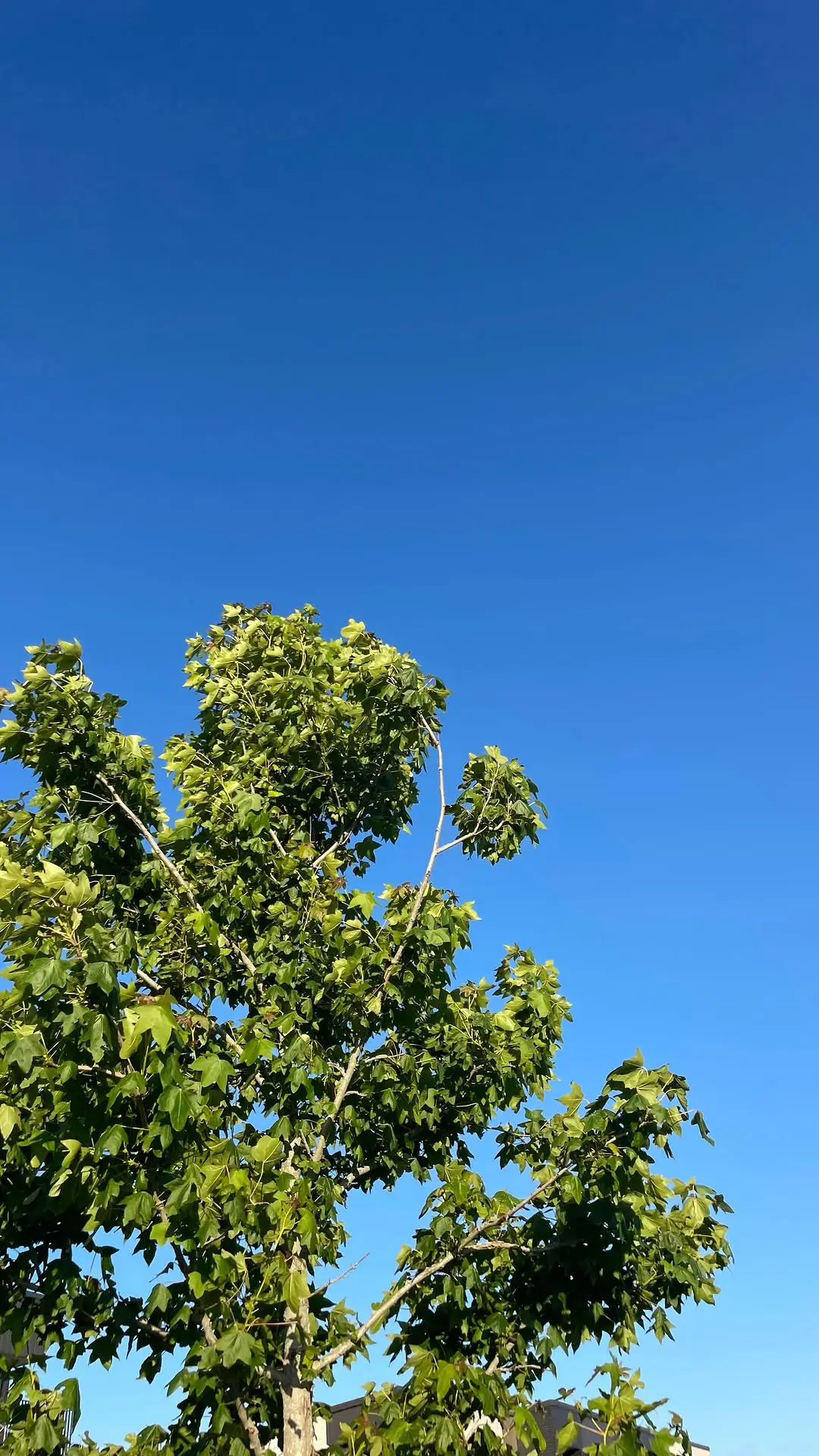 Instagram post thumbnail