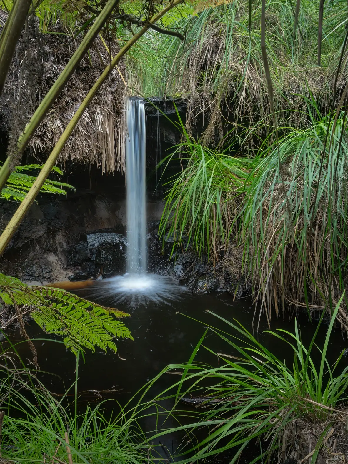 Tiktok post preview 2 from @naturebynathan