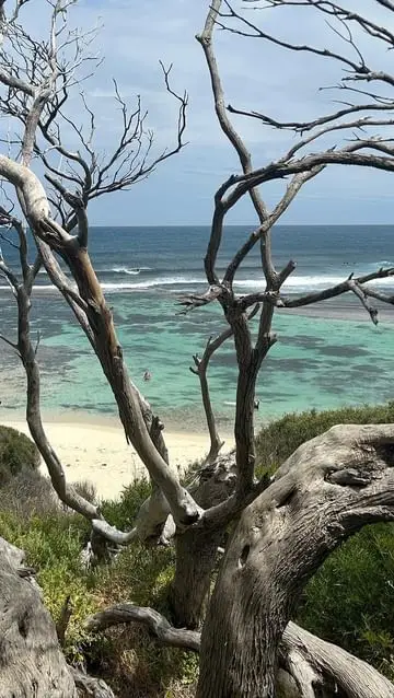 Instagram post thumbnail