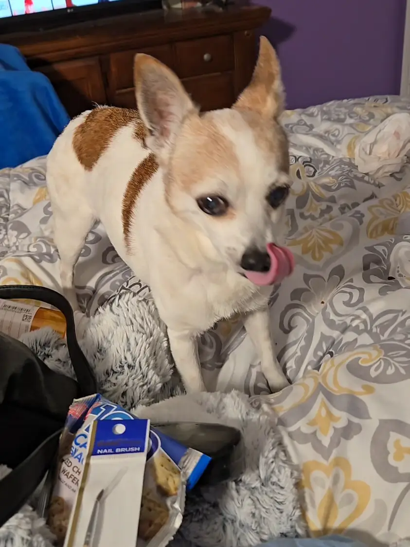Tiktok post thumbnail