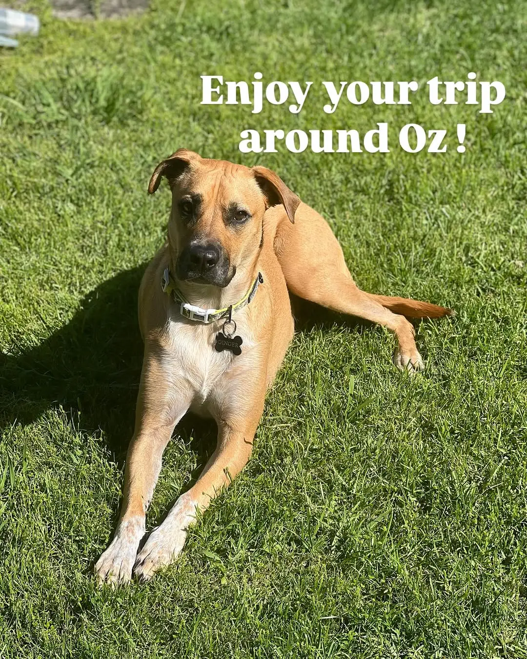 Instagram post preview 3 from thewilsonstakeonoz