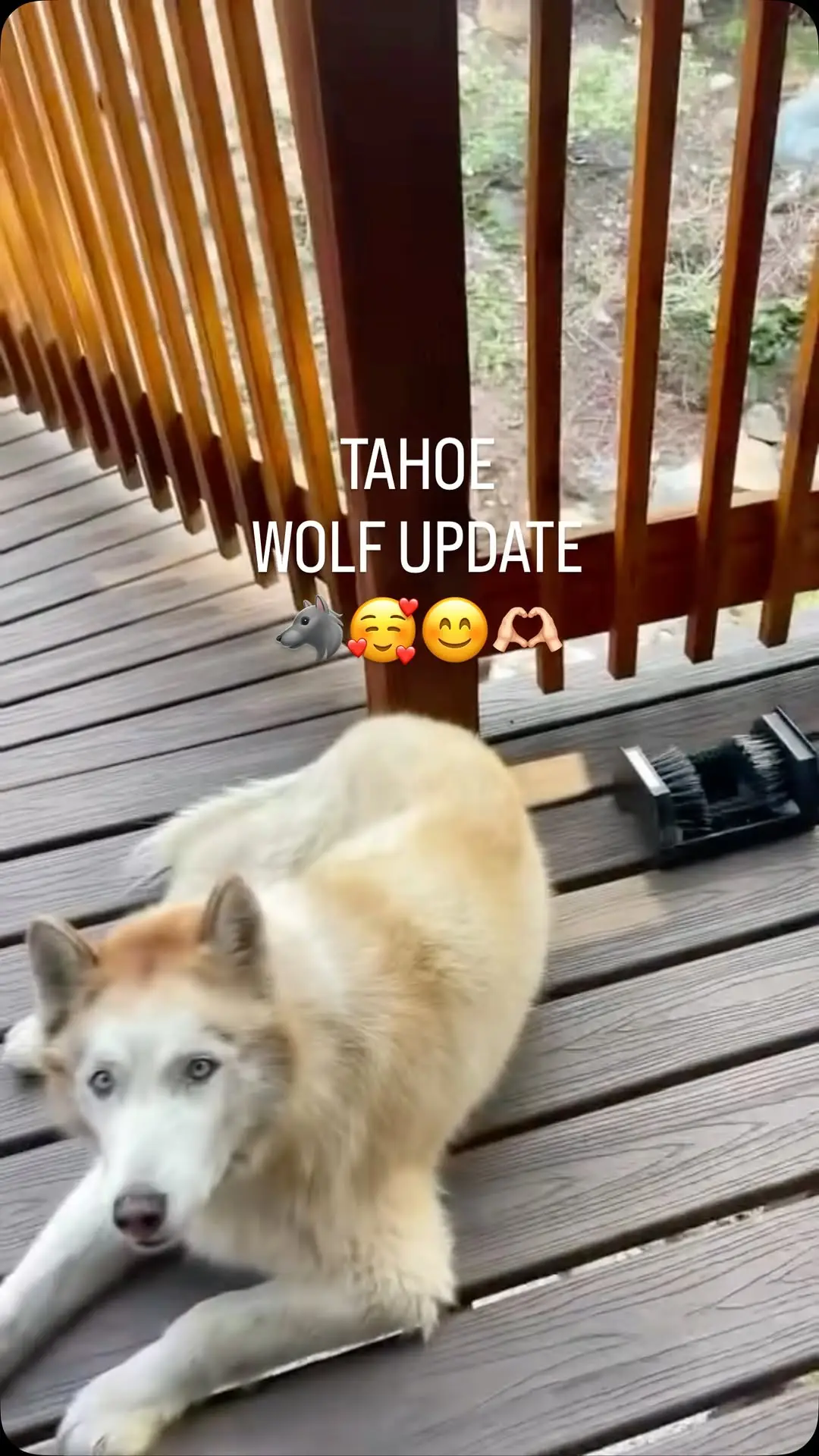 Instagram post preview 2 from margarita