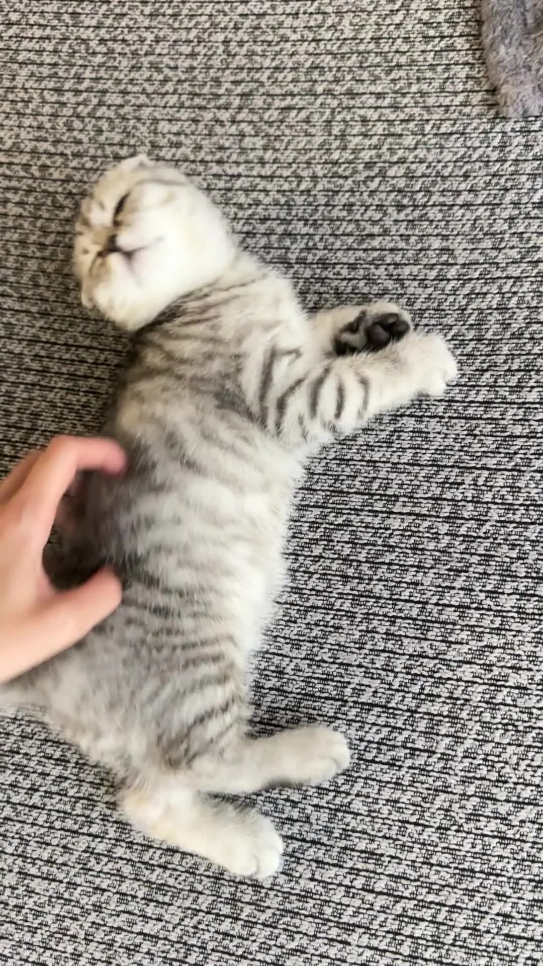 Tiktok post thumbnail