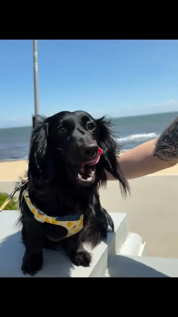 Instagram post thumbnail