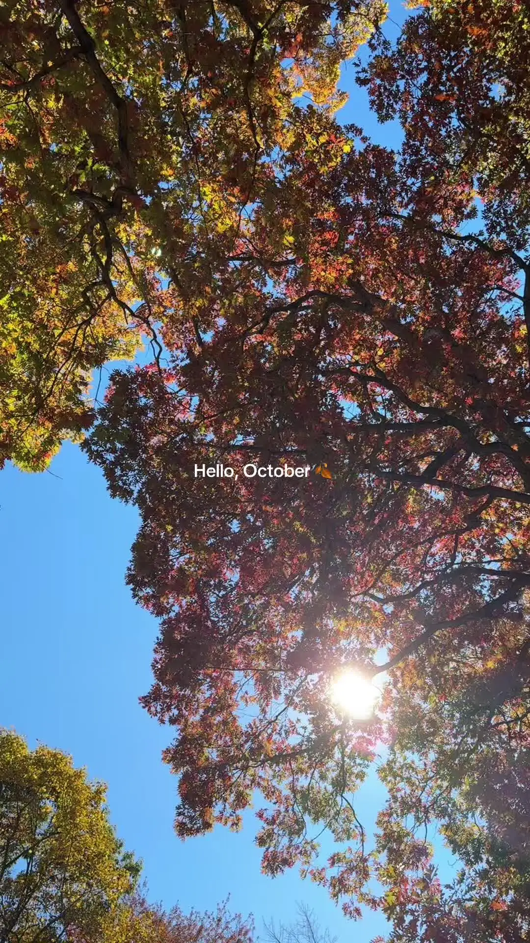 Tiktok post preview 2 from @nejdanova.ugc
