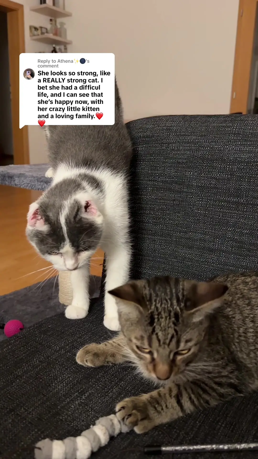Tiktok post thumbnail