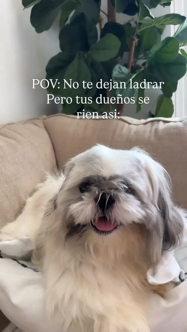 Instagram post preview 1 from _paolax3