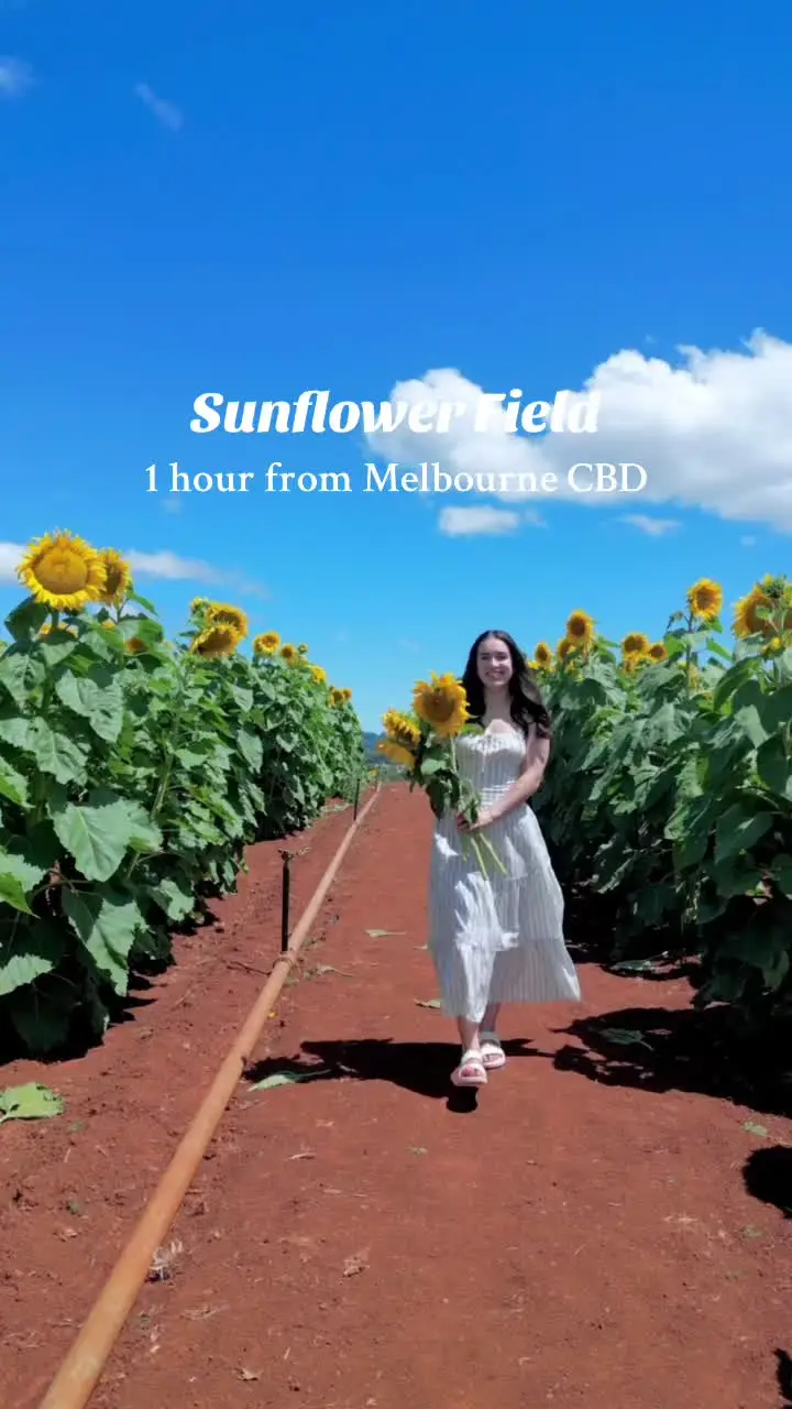 Tiktok post preview 3 from @helens.travels