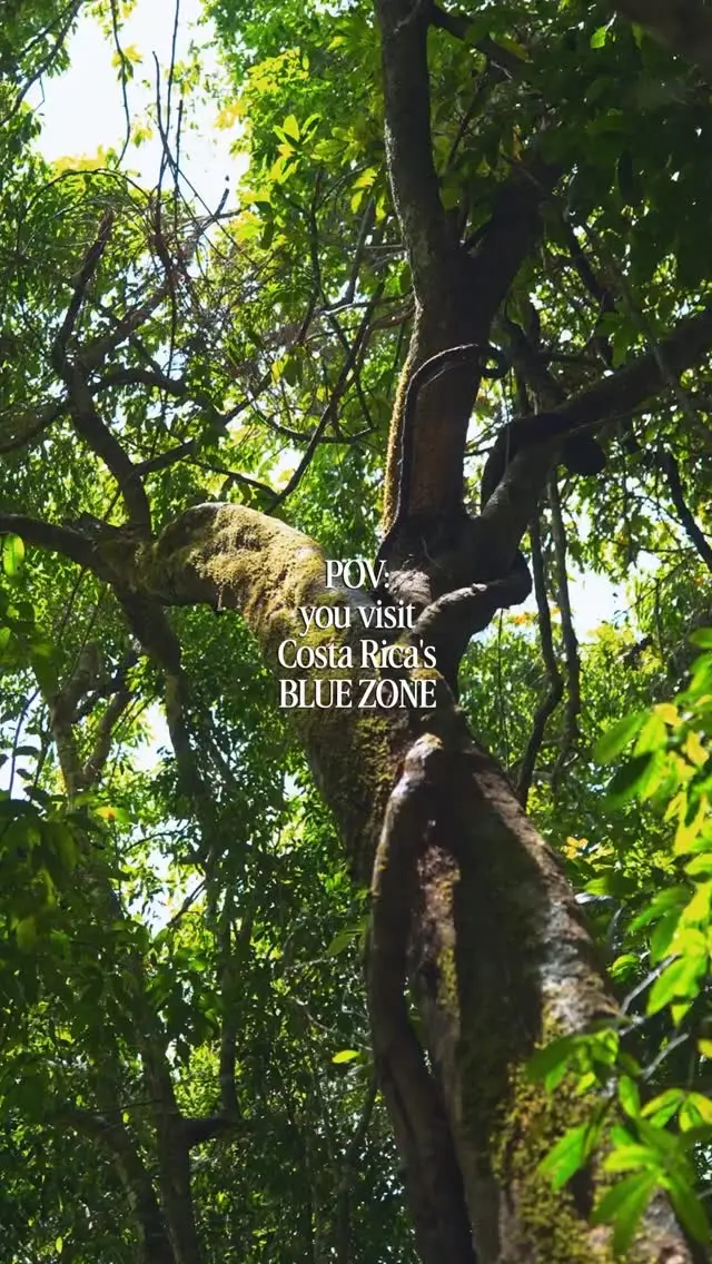 Instagram post preview 1 from jungleflower.jpg