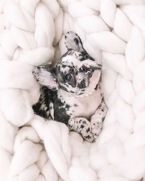 Instagram post thumbnail