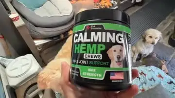 Instagram post thumbnail