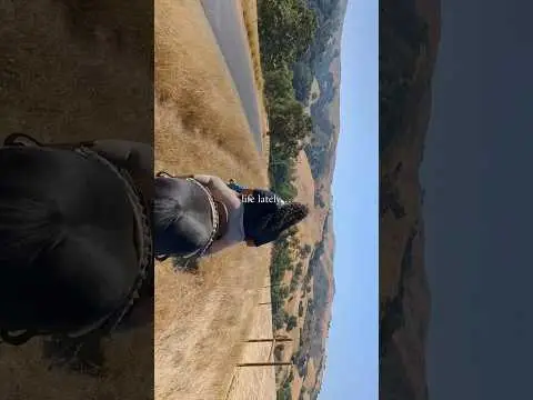 Youtube post thumbnail