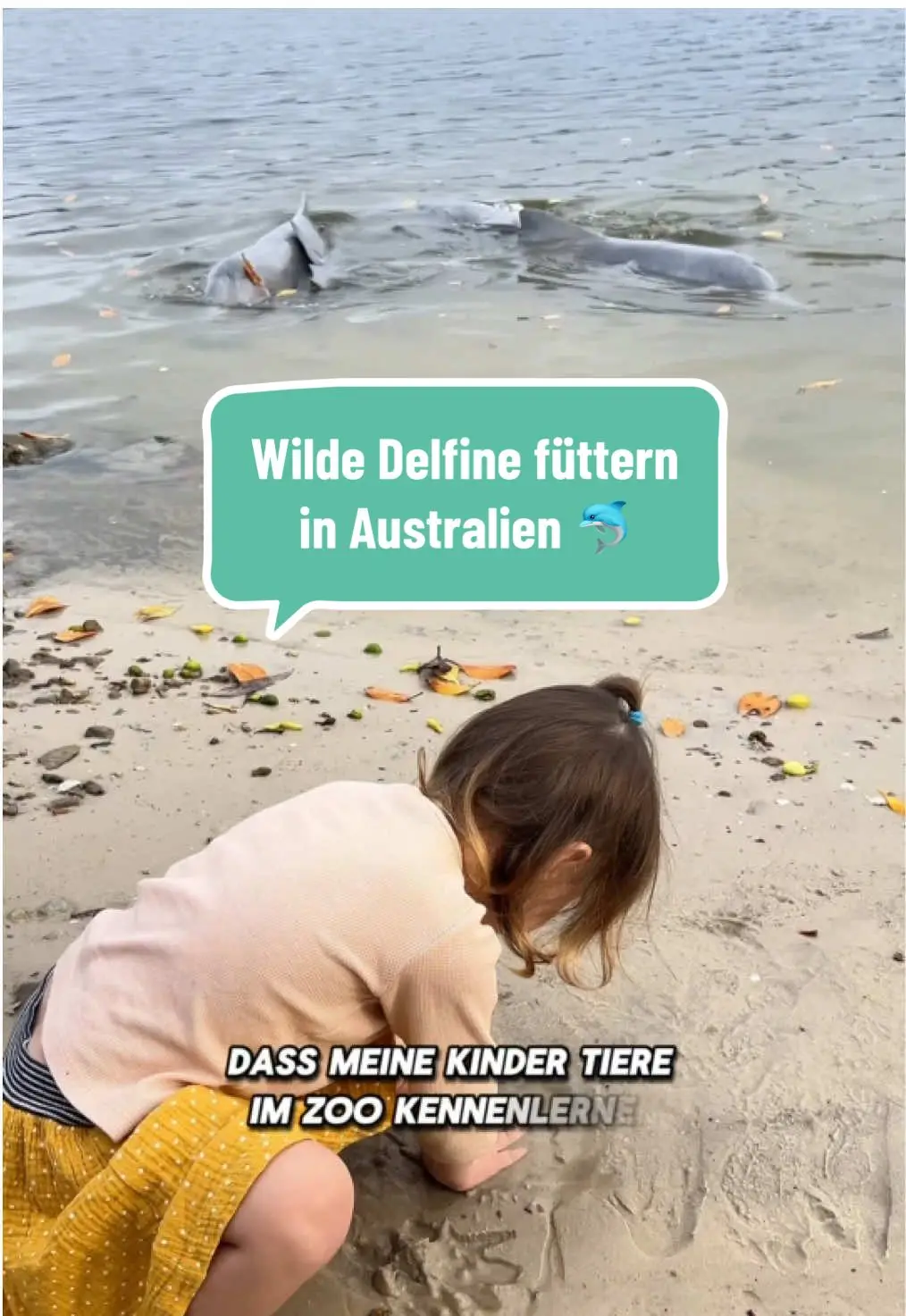 Tiktok post preview 2 from @wildfamily_life