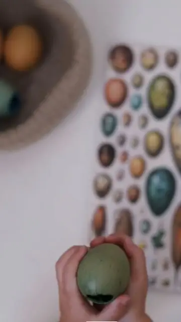 Instagram post thumbnail