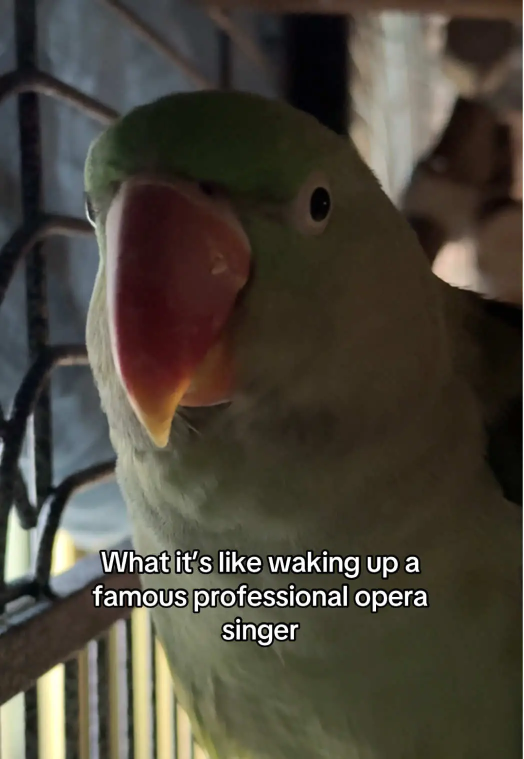 Tiktok post thumbnail