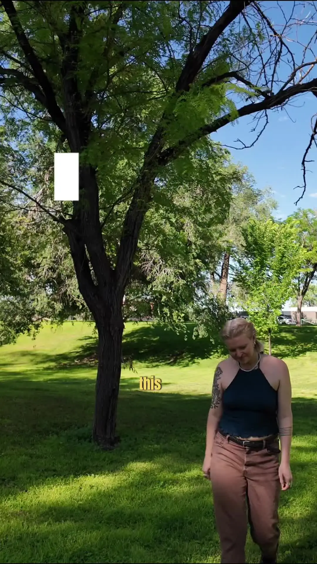 Tiktok post preview 2 from @its_amandatimm