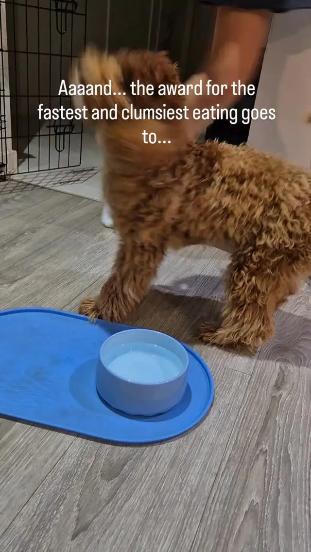 Instagram post thumbnail