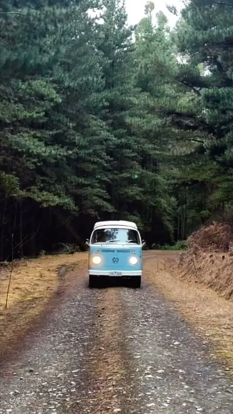Instagram post thumbnail