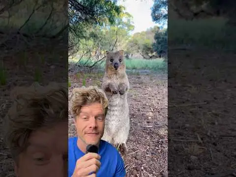 Youtube post thumbnail