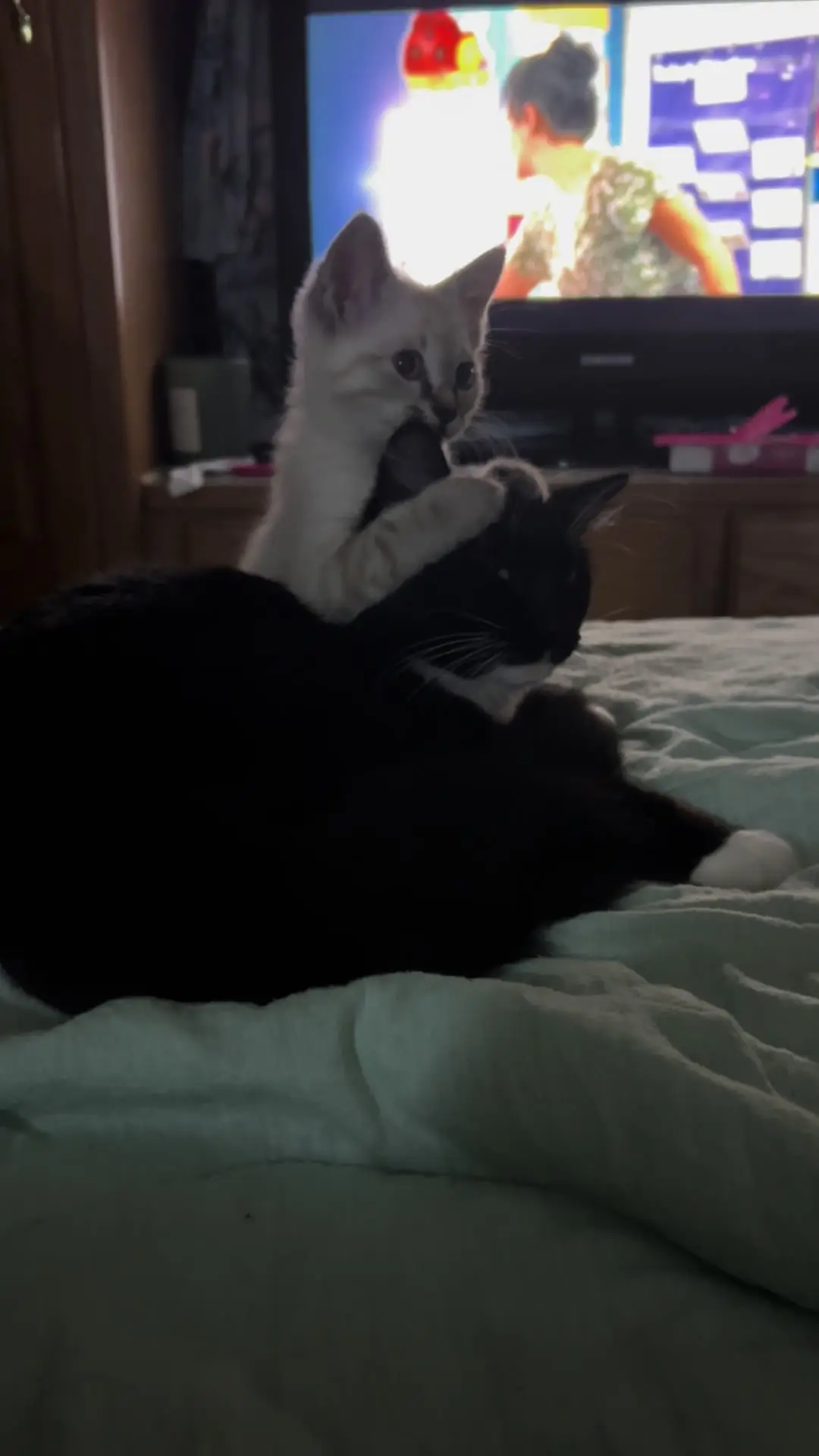 Tiktok post thumbnail