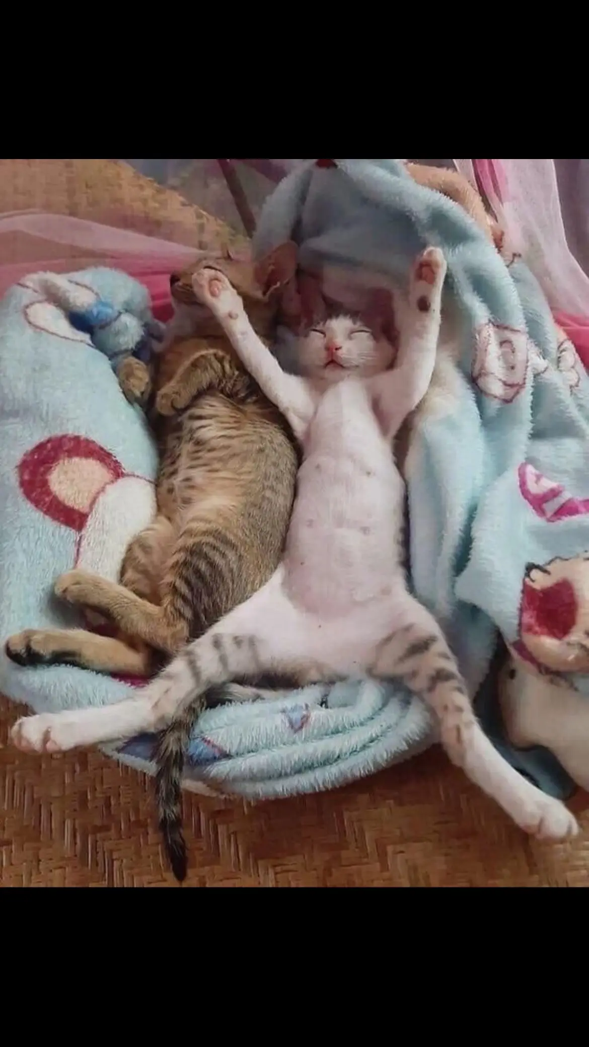 Tiktok post thumbnail