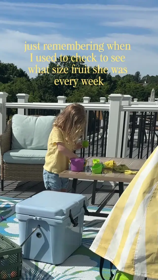 Instagram post preview 3 from lizkihn