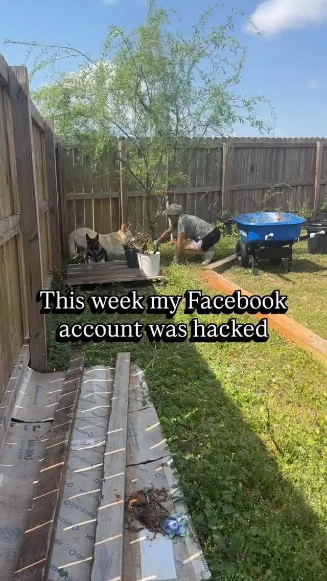 Instagram post thumbnail