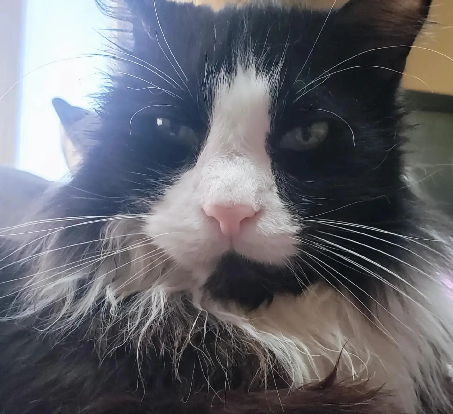 Tiktok post thumbnail