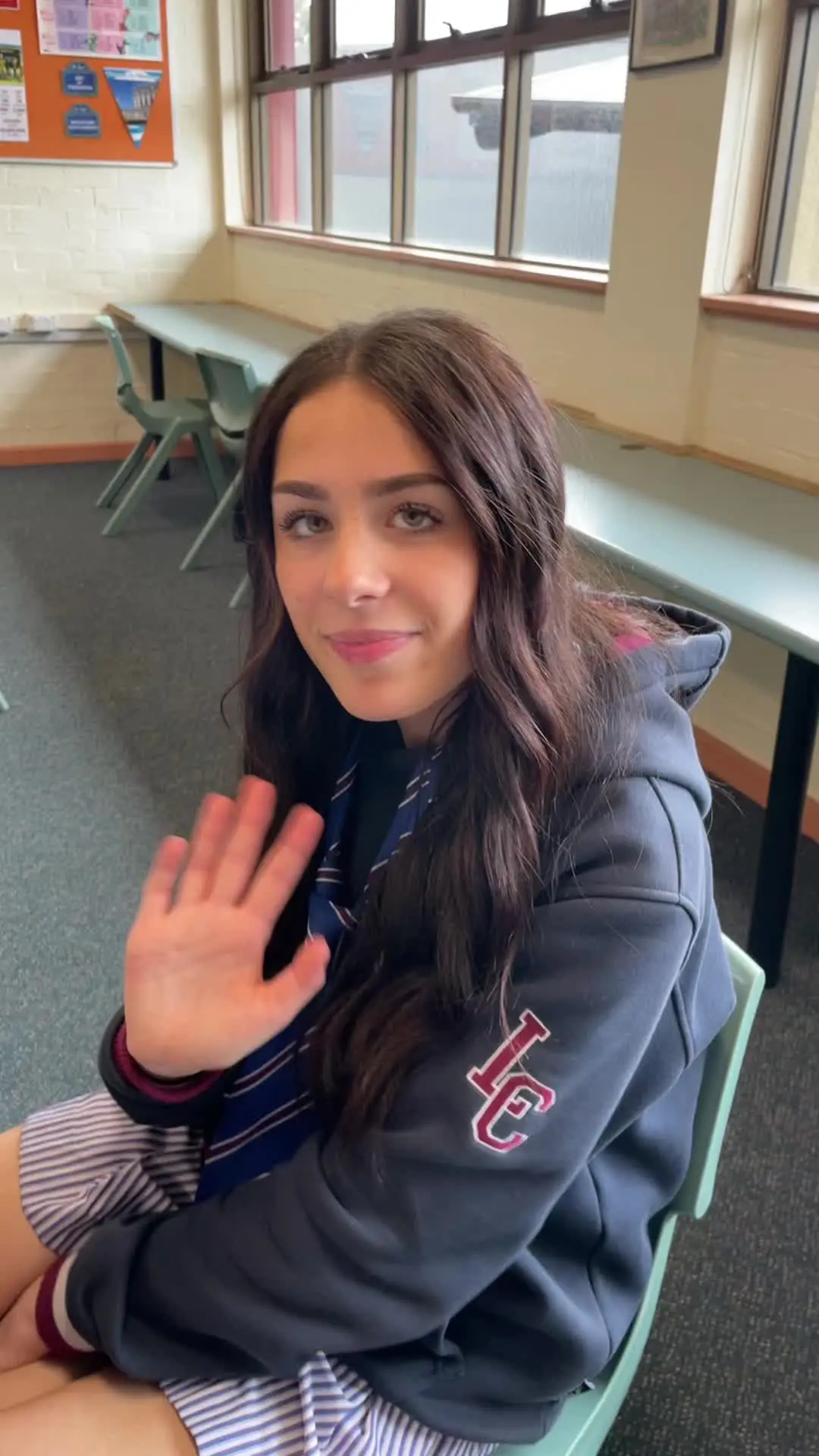 Tiktok post preview 2 from @alanatarantino