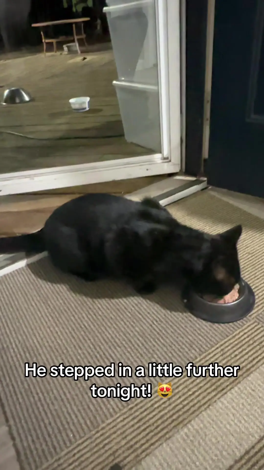 Tiktok post preview 1 from @fur_the_love_of_cats